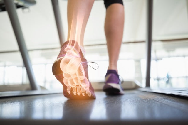 骨密度とは?低下するリスクや上がるために大切な3つのポイントを解説