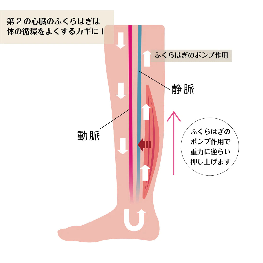 かかと巡りケアセット(内外美容)