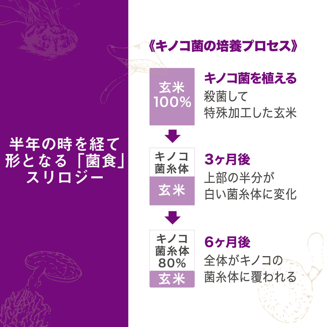 SURURITO(するりと)大人の腸活にはビタミンD+βグルカン(きのこ菌発酵玄米サプリ)