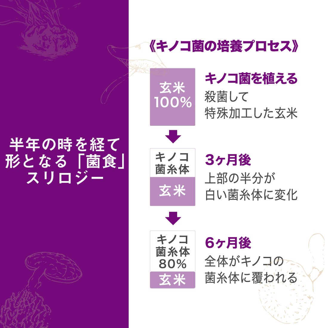 SURURITO (するりと)大人の腸活サプリメント3本セット(おいしいだし100g付)
